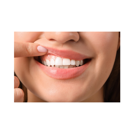 ORAL SPA ELIXIR-Forest Elixirs