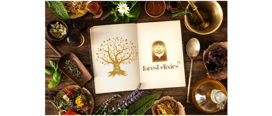 Forest Elixirs: A Timeless Journey of Wellness and Tradition